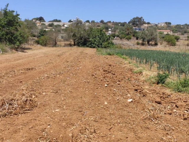 فروش 2 جریب زمین در روستای دیپکارپز، قابل توسعه.