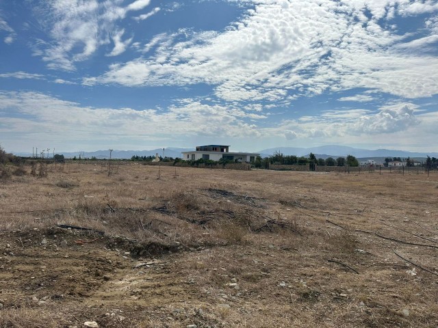 Land for Sale with Chapter 96 Zoning in Gaziveran Region