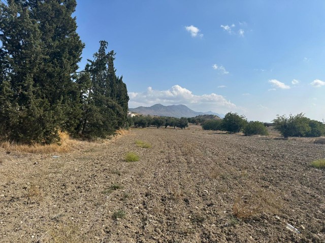 Land for Sale on the Road in Pınarbaşın, Kyrenia