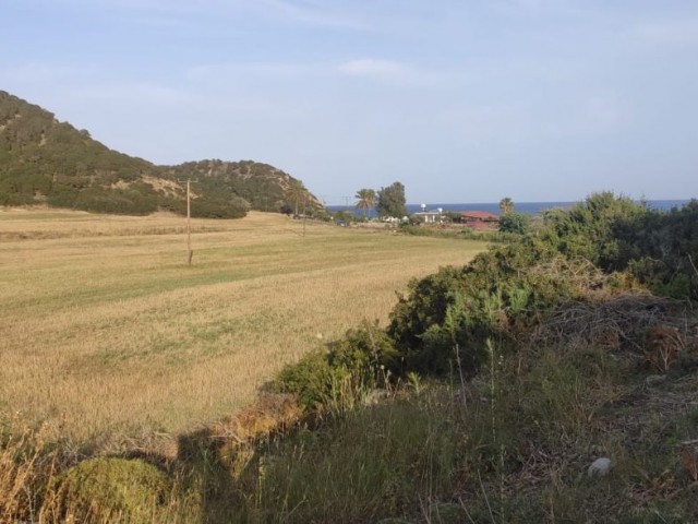 Land for sale on an asphalt road, within walking distance to the sea in Dipkarpaz...