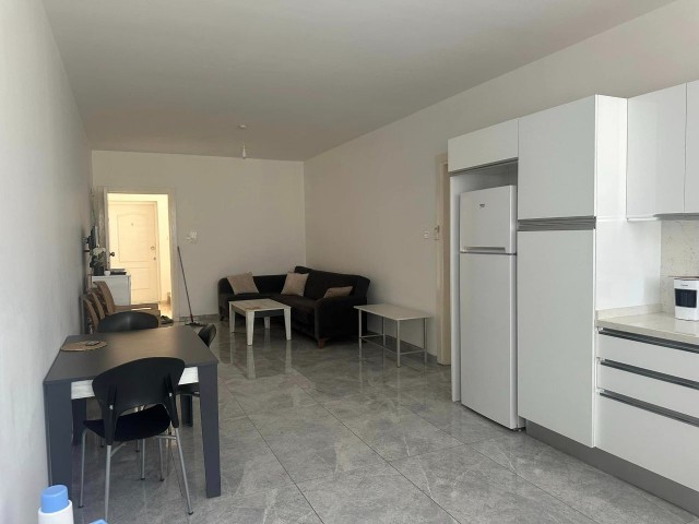 2+1 Clean Daily Rental Flat in Hamitköy Area