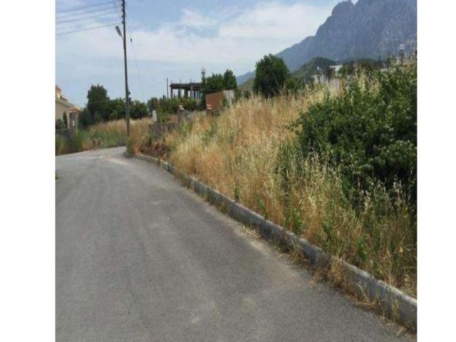 1 Donum 120m2 land for sale in Alsancak