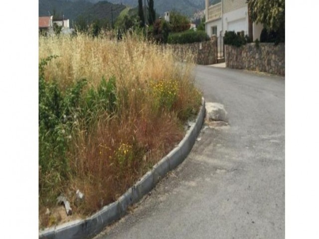 1 Donum 120m2 land for sale in Alsancak