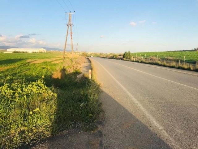 Field For Sale in Çukurova, Nicosia