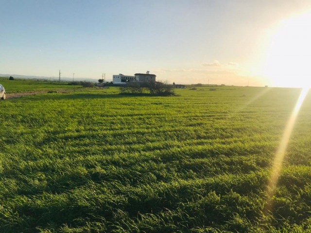 Field For Sale in Çukurova, Nicosia