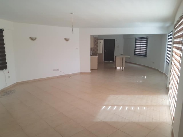 Flat To Rent in Marmara, Nicosia