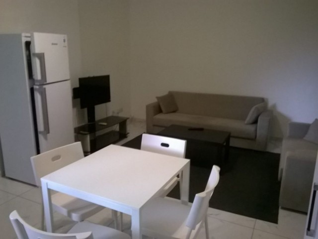 Flat To Rent in Marmara, Nicosia