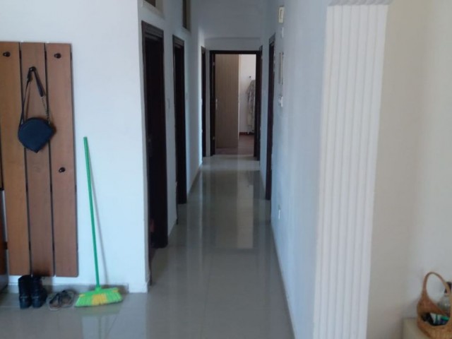 Flat To Rent in Küçük Kaymaklı, Nicosia