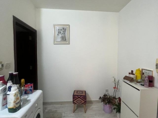 1+1 apartment for rent in Lefcosa