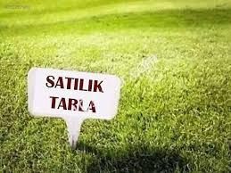 Gazimagosada Satılık Tarla 