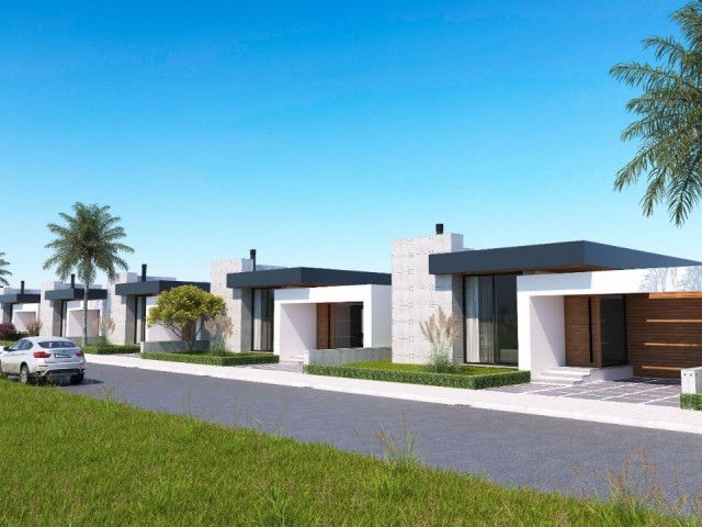 3+1 villa for sale in western city