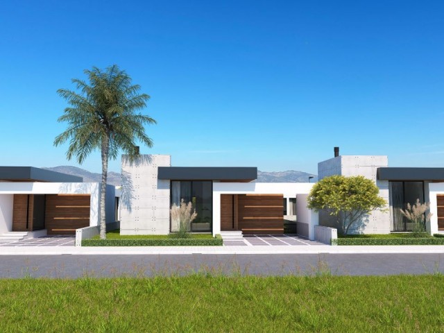 3+1 villa for sale in western city