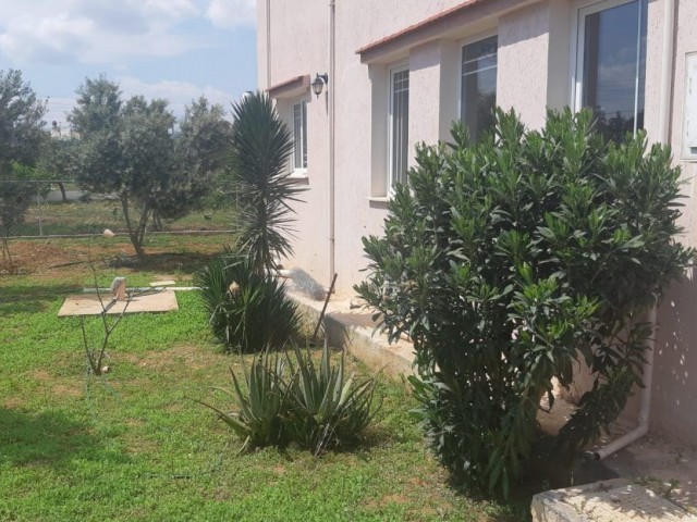 Villa To Rent in Yeni Boğaziçi, Famagusta