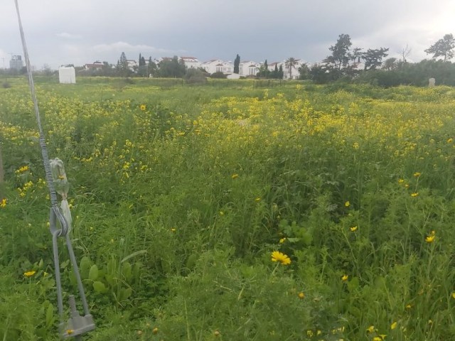 NORTH CYPRUS İSKELE BAHÇELER LAND FOR SALE 1255 MT2