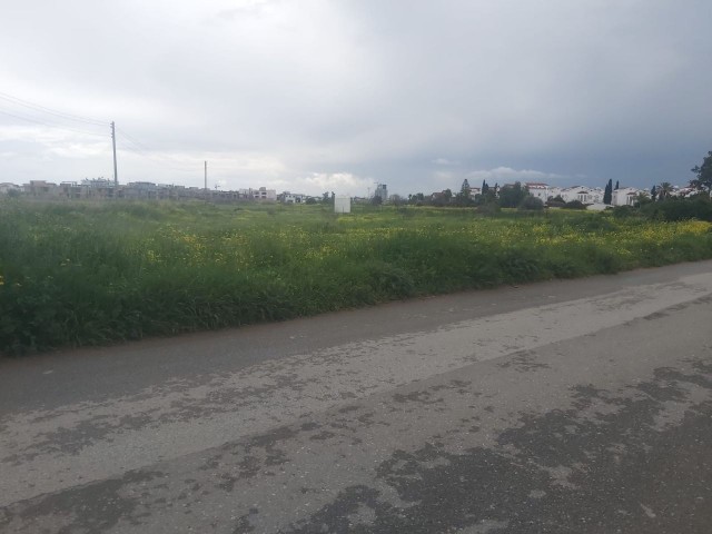 NORTH CYPRUS İSKELE BAHÇELER LAND FOR SALE 1255 MT2