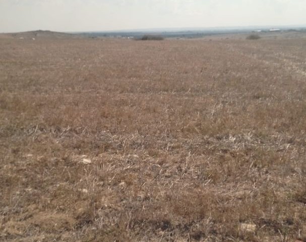 LAND FOR SALE BETWEEN GEÇİTKALE SERDARLI MAIN ROAD