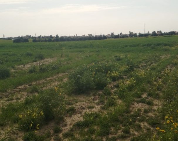 LAND FOR SALE IN GEÇITKALE