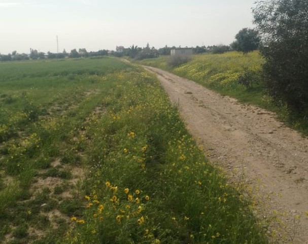 GRUNDSTÜCK ZUM VERKAUF IN GEÇITKALE