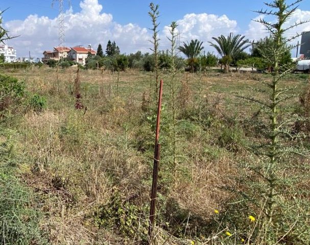 Kuzey Kıbrıs Yeniboğaziçi Türk koçan İmara açık 800 mt2 Arsa