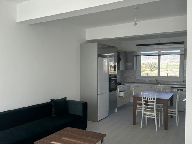 2+1 Brand New Fully Furnished Villa for Rent in Nicosia/Minareliköy (Sardunya Konakları34)