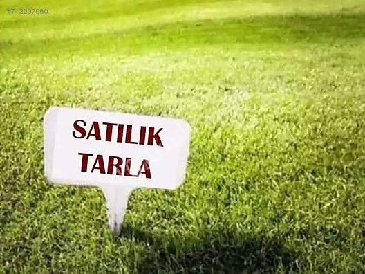 KARŞIYAKA'DA  DENİZE  ÇOK YAKIN MESAFEDE 2 ADET TARLA  TANESİ 60.000£