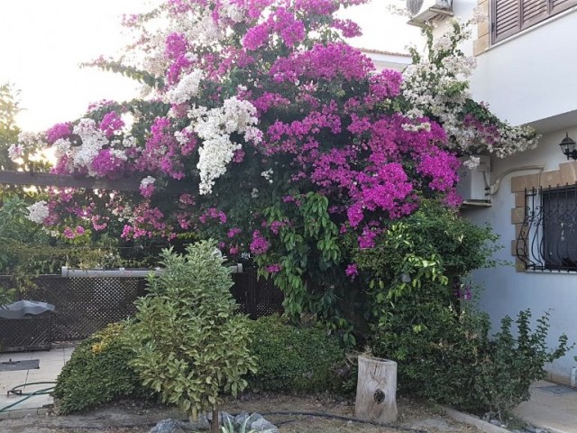 ویلا برای فروش in Boğaz, گیرنه