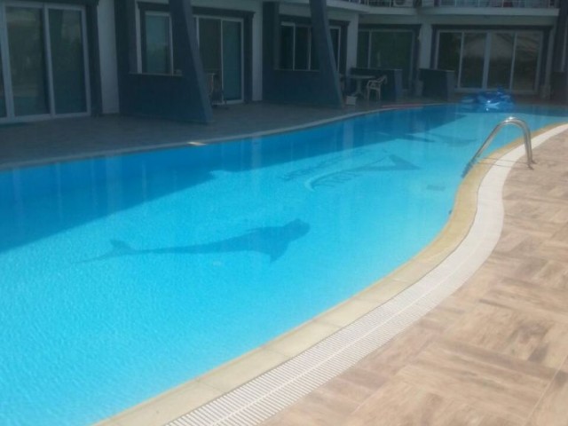  1 + 1 FLAT FOR SALE WITH COMMON POOL IN ALSANCAK