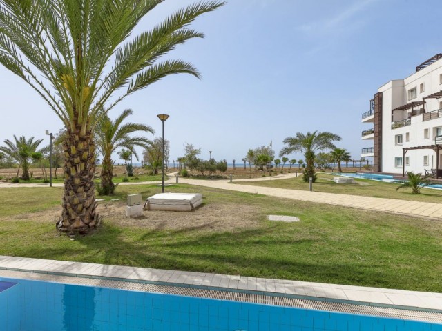 FLATS WITH INVESTMENT POTENTIAL AND HIGH RENTAL INCOME AT ZERO OPPORTUNITY FOR SALE IN THE PEARL OF CYPRUS, İSKELE !!