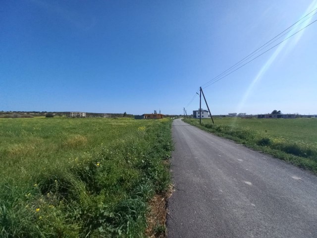 LAND FOR SALE IN ISKELE BAFRA REGION!!