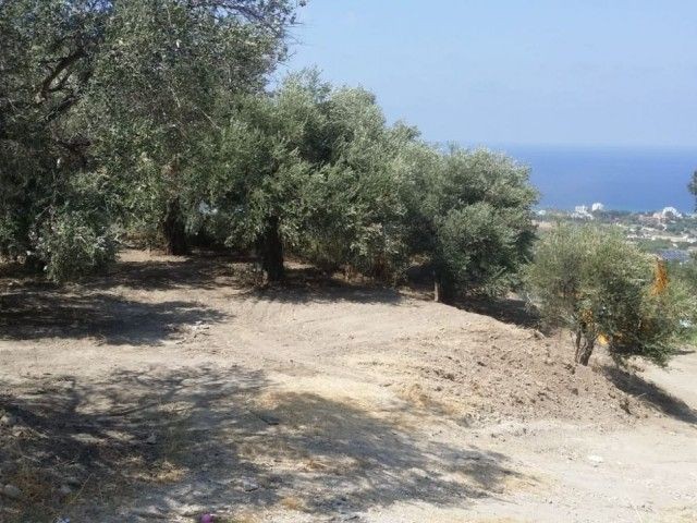 GRUNDSTÜCK ZUM VERKAUF IN KYRENIA LAPTA MIT 90 % ZONENTEILUNG UND MEERBLICK!!