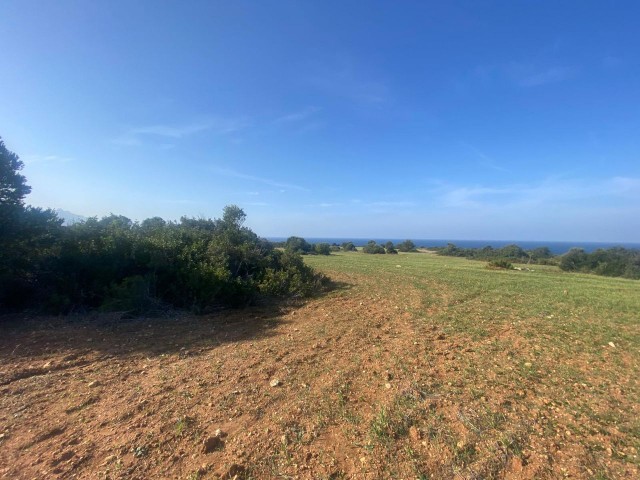 11 DECADES OF LAND FOR SALE ON İSKELE - MERSİNLİK MAIN ROAD NEAR THE SEA!!