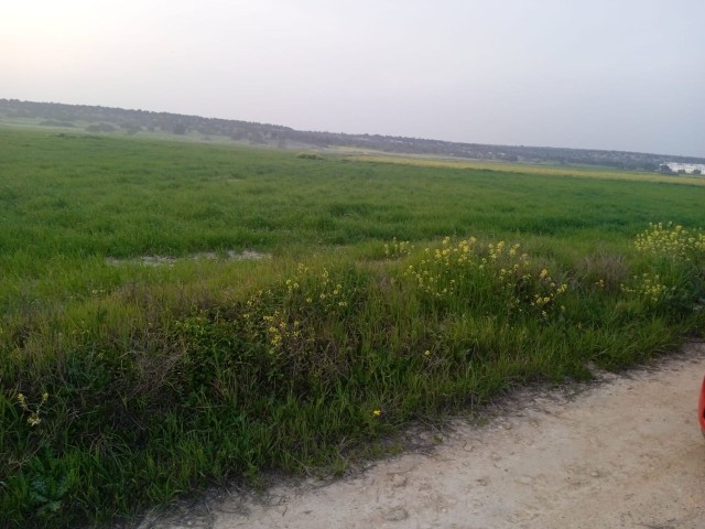 3 DONE LAND FOR SALE IN İSKELE BAFRA HOTELS AREA WITH HIGH RETURN ON INVESTMENT!!