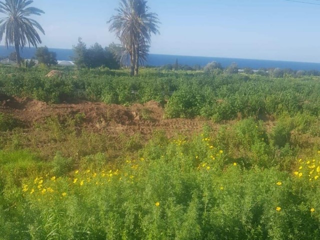 606 M2 LAND FOR SALE IN TATLISU, MAGUSA, SUITABLE FOR VILLA CONSTRUCTION!!