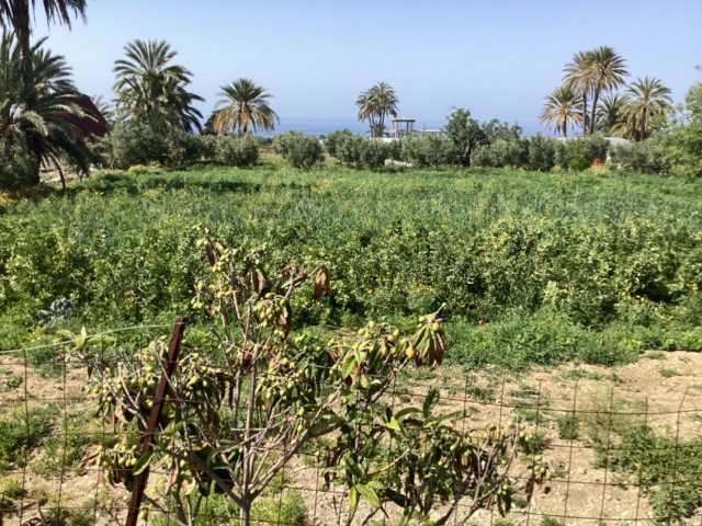 2 ERKLÄRUNGEN, 1 EVLEK-LAND ZUM VERKAUF IN FAMAGUSTA TATLISU!!