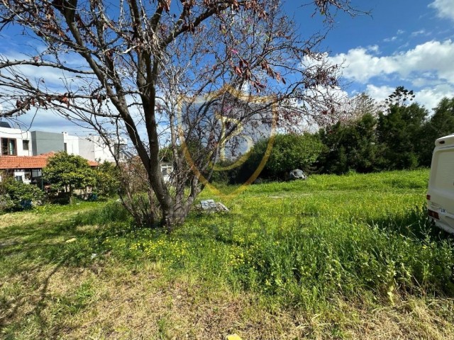 552 M2 LAND FOR SALE IN GIRNE ALSANCAK, 50 METERS FROM THE SEA!!