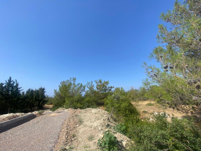 15 GRUNDSTÜCKE ZUM VERKAUF IN GIRNE ÇATALKÖY MIT BERG- UND MEERBLICK!!