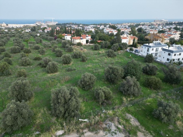 HERVORRAGENDES GRUNDSTÜCK / INVESTITIONSGEBIET MIT 17 VILLEN PROJEKT IN OZANKÖYDE, GİRNE