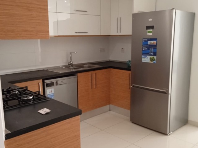 FULLY FURNISHED 2+1 APARTMENT FOR RENT IN CENTRAL GUINEA