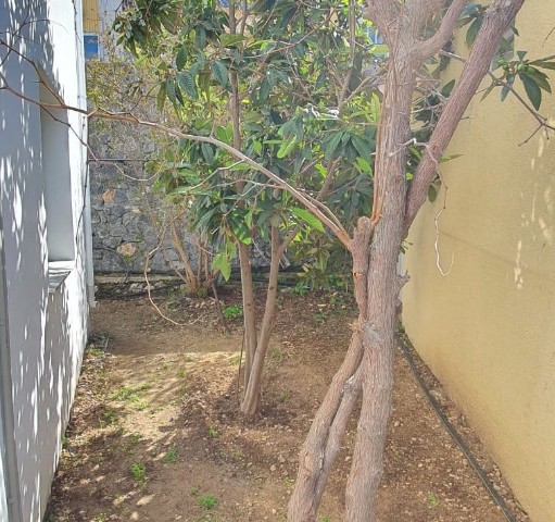 2 bedroom flat for rent in Alsancak, with garden, fruit trees, well