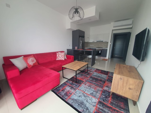 CYPRUS NICOSIA HAMITKÖY 2 + 1 ZERO APARTMENT FOR RENT, FURNISHED, SECURE SITE, 1000m2 GARDEN, CLOSE TO UNIVERSITY STOPS ** 