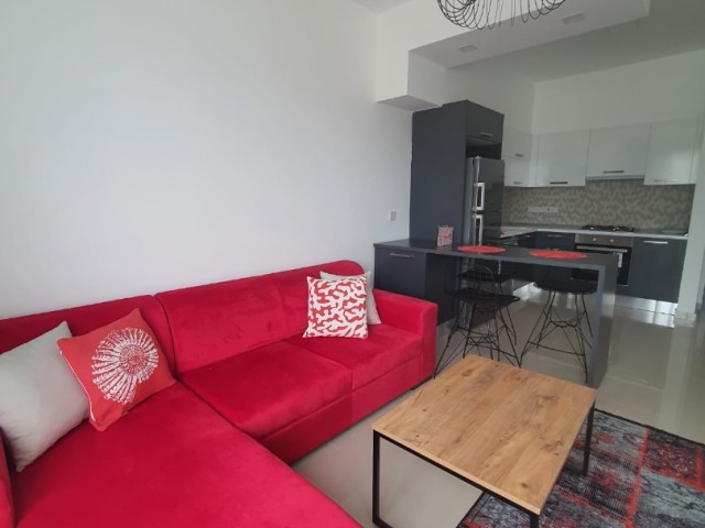 CYPRUS NICOSIA HAMITKÖY 2 + 1 ZERO APARTMENT FOR RENT, FURNISHED, SECURE SITE, 1000m2 GARDEN, CLOSE TO UNIVERSITY STOPS ** 