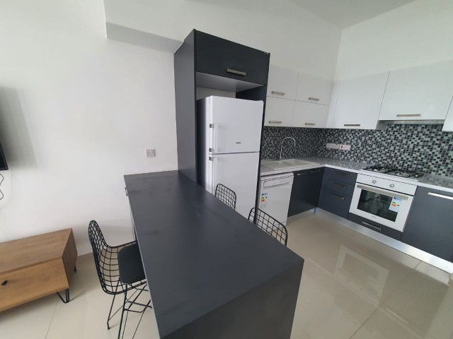 CYPRUS,NICOSIA HAMİTKÖY, FURNISHED 2+1 FOR RENT, IN A SECURE SITE, 1000m2 GARDEN, NEXT TO UNIVERSITY SCHOOL STATIONS