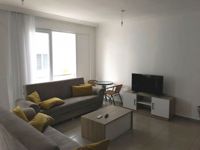 NEW 2+1 APARTMENT FOR RENT IN THE CENTER OF CKTC GUINEA