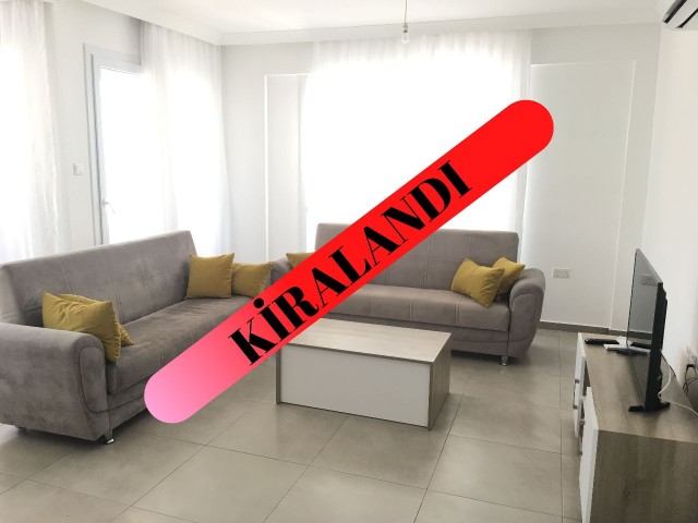 NEW 2+1 APARTMENT FOR RENT IN THE CENTER OF CKTC GUINEA