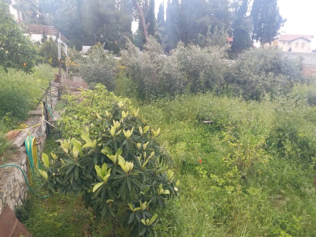 3+1 VILLA MIT GROSSEM GARTEN IN DER REGION ÇATALKOY IN KYRENIA