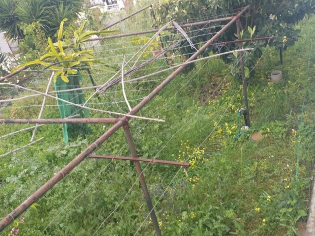 ویلای 3+1 با باغ بزرگ در منطقه چاتالکوی در گیرنه