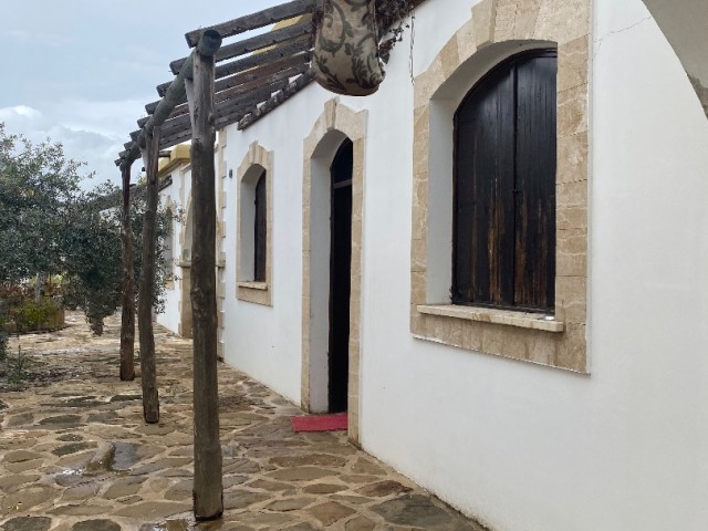 Ökotourismus-Bungalow mit toller Aussicht