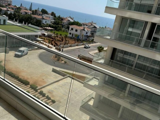 1+1 flat in ABELIA 