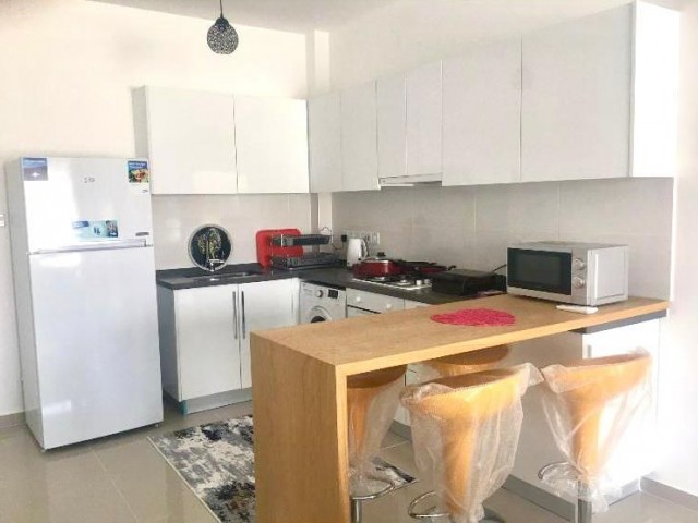 1+1 flat in CAESAR RESORT for rent