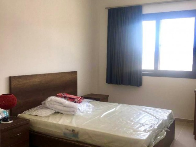 1+1 flat in CAESAR RESORT for rent